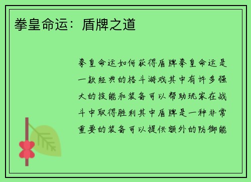 拳皇命运：盾牌之道