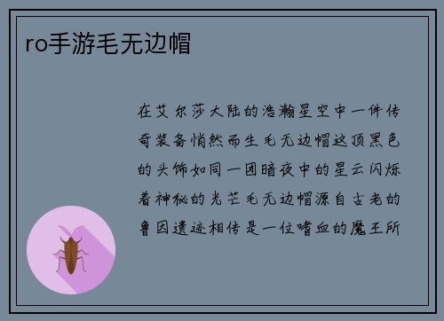 ro手游毛无边帽
