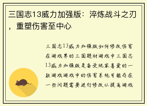 三国志13威力加强版：淬炼战斗之刃，重塑伤害至中心