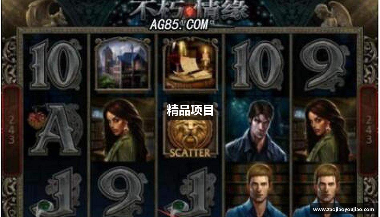 精品项目